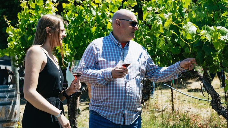 Napa Valley and Sonoma Full Day Wine Tour - Is the price good value?