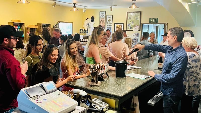 Napa Valley and Sonoma Full Day Wine Tour - Should you book this Napa and Sonoma day trip?