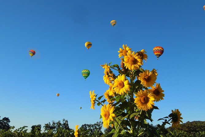 Napa Valley Day Trip With Hot Air Balloon and Wine Tasting  - San Francisco - Date and Traveler Selection