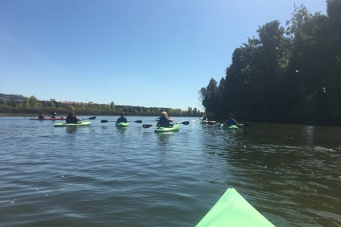 Napa Valley - River History Kayak Tour - Single Kayaks - Inclusions