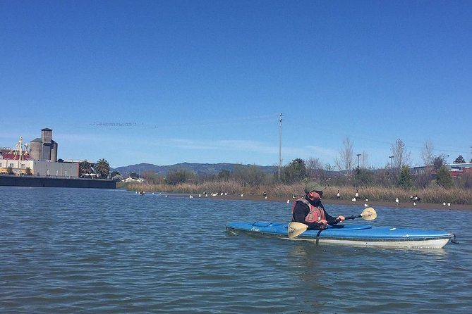 Napa Valley - River History Kayak Tour - Single Kayaks - Customer Reviews