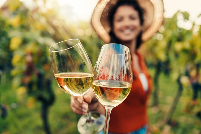 Napa Valley Wine and Muir Woods Day Tour From San Francisco - Tour Highlights