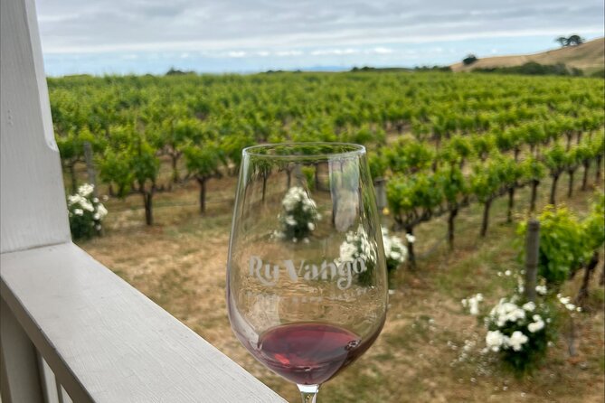Napa Valley Wine and Muir Woods Day Tour From San Francisco - Gourmet Lunch Options