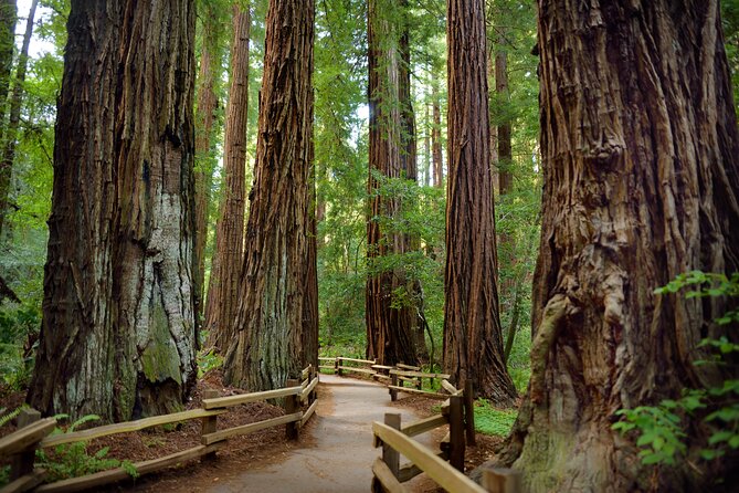 Napa Valley Wine and Muir Woods Day Tour From San Francisco - Common Questions