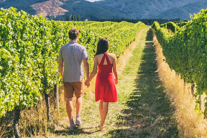 Napa Vally Wine Tour and 1 Day Big Bus Tour - Tour Highlights