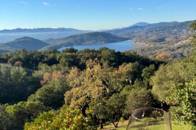 Napa Wine Tours - Final Thoughts: Who Should Consider This Tour?