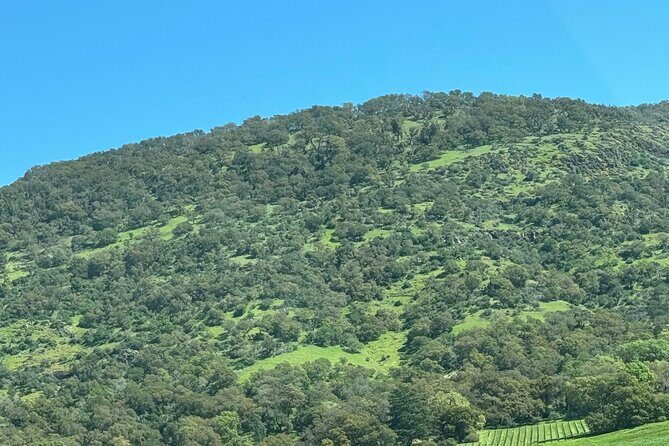 Napa Wine Tours - Final Words