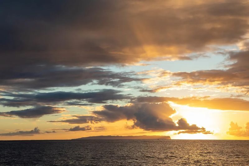 Napali Sunset Dinner Sail Experience in Kauai - Wildlife sightings, with no guarantees