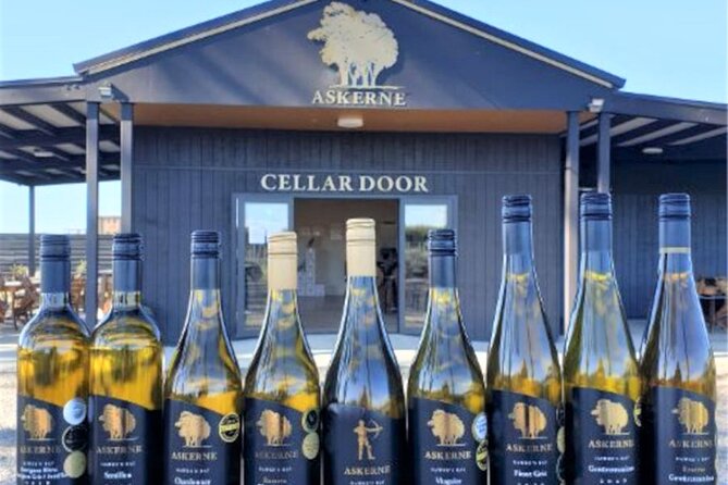 Napier Afternoon Wine, & Gin or Beer Tasting Tour - Background