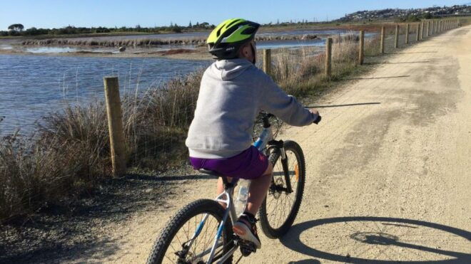 Napier: Art Deco Bike Ride and Wineries Loop - Related Options and Information
