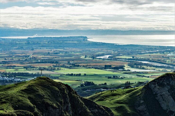 Napier: Art Deco Center, Te Mata Peak, Wine & Cheese Tasting - Exploring Napiers Art Deco Center