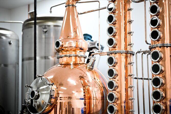 Napier Art Deco & Distillery Tour with Tastings - Who Should Consider This Tour?
