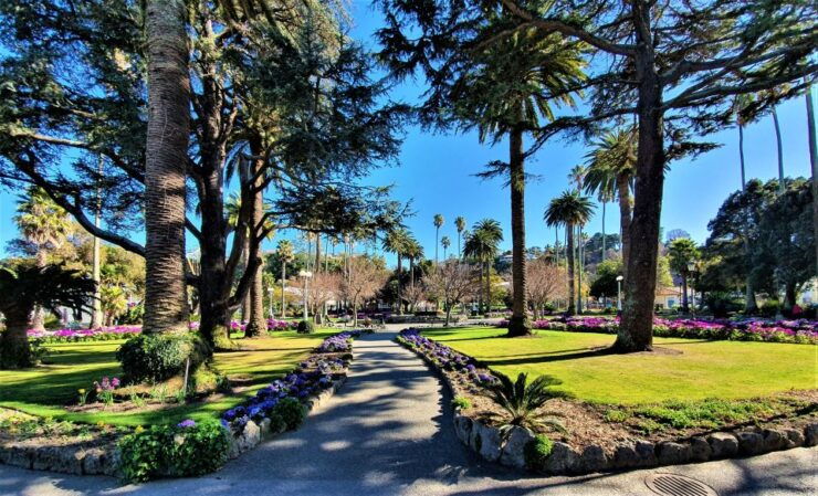 Napier: Best of Napier Small Group Tour - Tour Experience