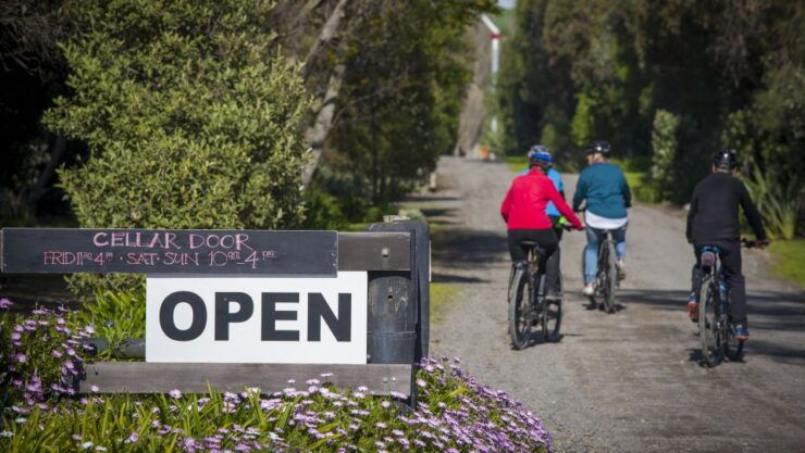 Napier: Cape Coast Winery Cycle Ride - E-Bike or Std-Bike - Ticket Details and Experience