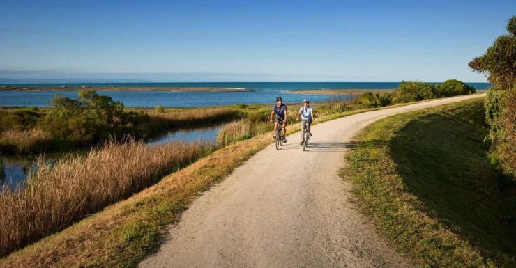 Napier: Cape Coast Winery Cycle Ride - E-Bike or Std-Bike - Important Information