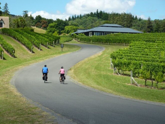 Napier: Cape Coast Winery Cycle Ride - E-Bike or Std-Bike - Reserve Now & Pay Later
