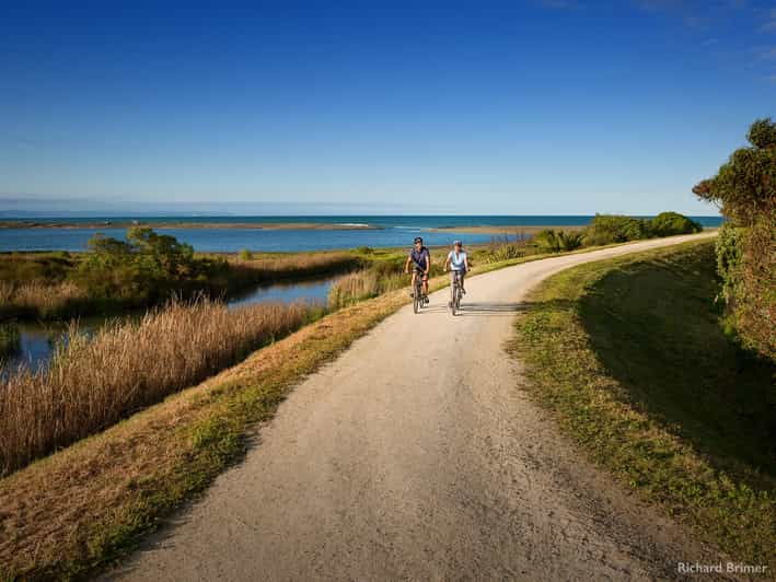 Napier: Cape Coast Winery Tour on Pedal or E-Bikes - Good To Know