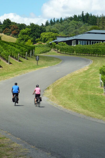 Napier: Cape Coast Winery Tour on Pedal or E-Bikes - Included Amenities