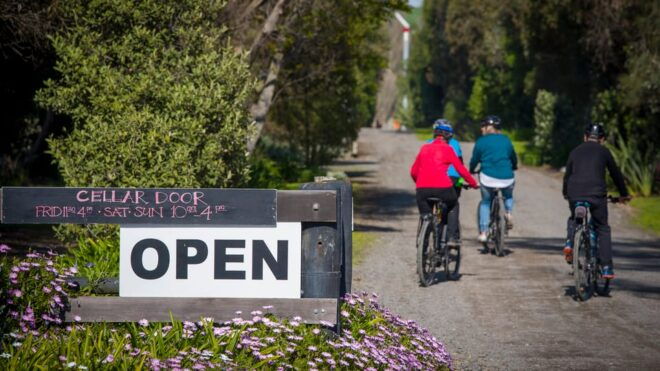 Napier: Cape Coast Winery Tour on Pedal or E-Bikes - Value for Money
