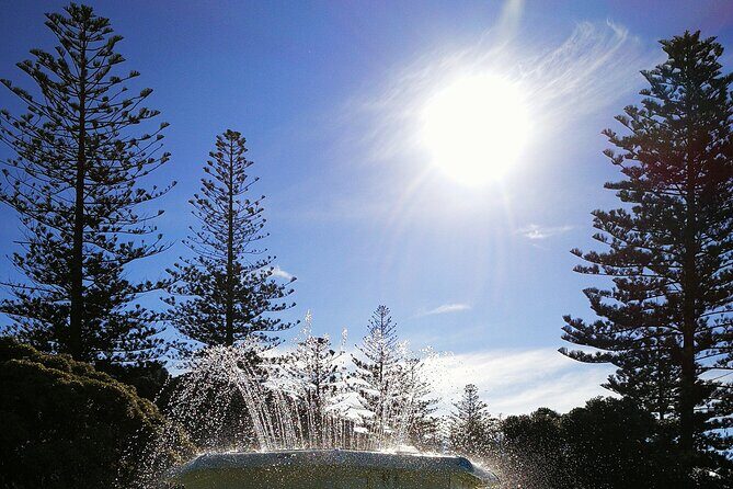 Napier Cruise Excursion Art Deco Tour and Wine Tasting - Introduction to the Tour Experience