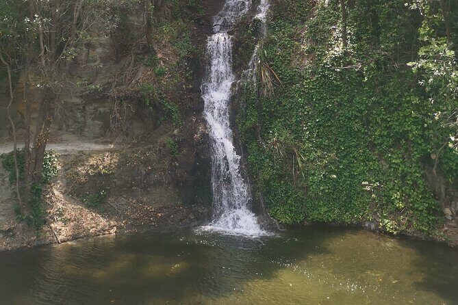 Napier Discovery Tour - Good To Know