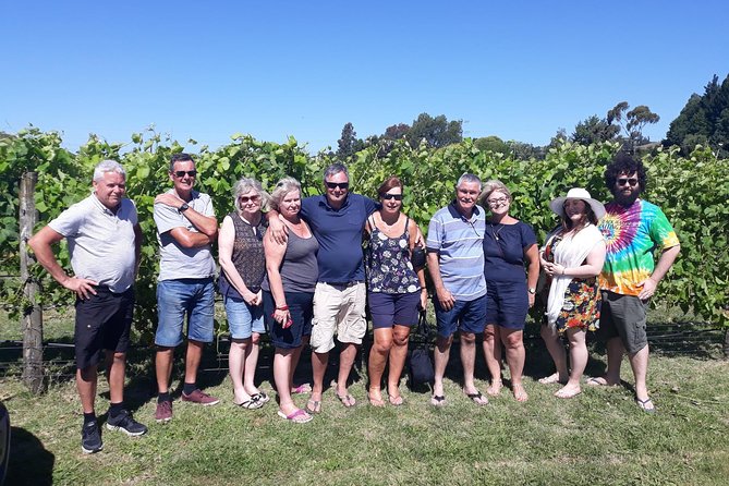 Napier Gourmet Luncheon Afternoon Wine & Gin or Beer Tasting Tour - The Sum Up