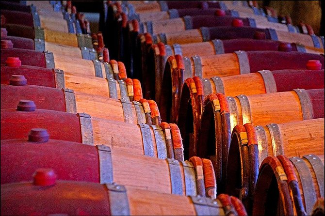 Napier Half-Day Small Group Wine and Beer Tour - Wine Museum Experience
