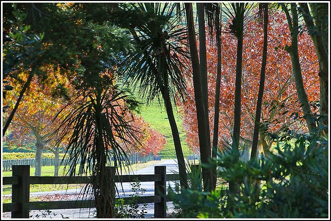 Napier Half-Day Small Group Wine and Beer Tour - Tour Operator Information