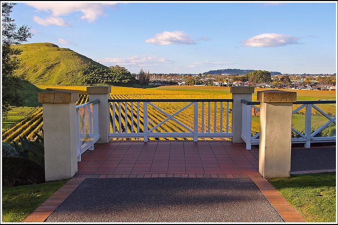 Napier Half-Day Wine Beer and Cider Tour - Tour Highlights