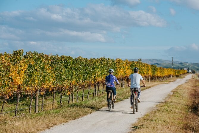 Napier Hybrid Bike Rental - Well-maintained Bikes and Great Service