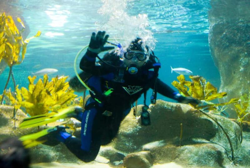 Napier: National Aquarium of New Zealand General Admission - Good To Know