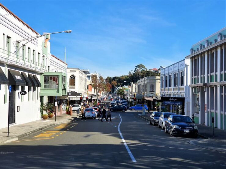 Napier: Private Sightseeing Tour Wine Tasting - Booking Information
