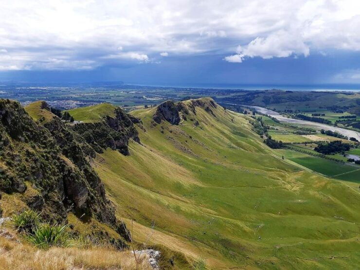 Napier: Private Sightseeing Tour Wine Tasting - Pickup Details