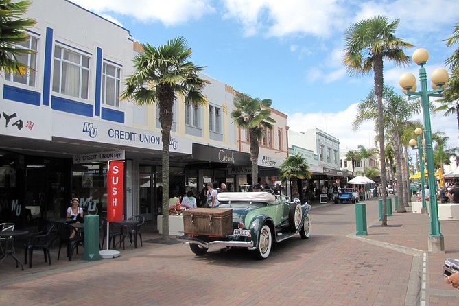 Napier Shore Excursion: City Sights and Hawkes Bay Tour - Cancellation Policy
