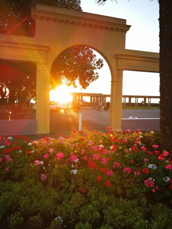 Napier: Shore Excursion with Wine Tasting and Platter - Good To Know