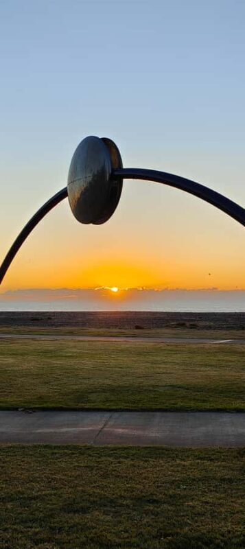 Napier: Shore Excursion with Wine Tasting and Platter - Unpacking the Experience: What to Expect