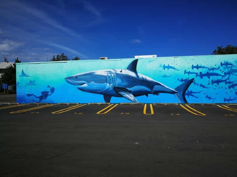 Napier: Shore Excursion with Wine Tasting and Platter - Practical Tips for Travelers