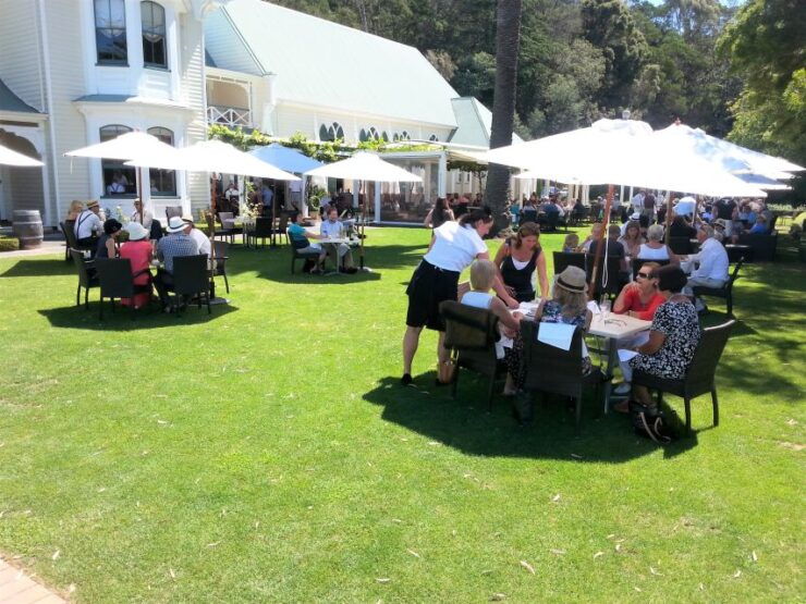 Napier: Wine, Gin, or Craft Beer Tasting Tour With Lunch - Tour Details