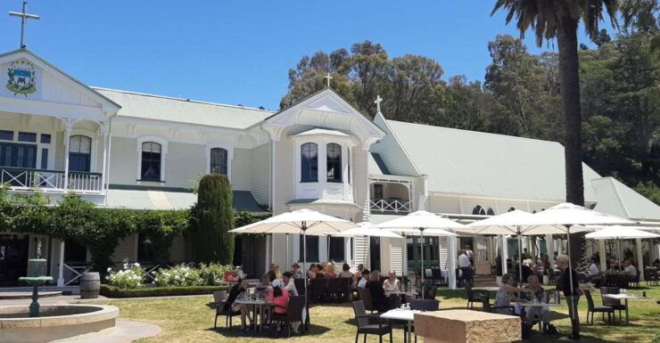 Napier: Wine With Gin or Craft Beer Tasting Tour - Tour Details