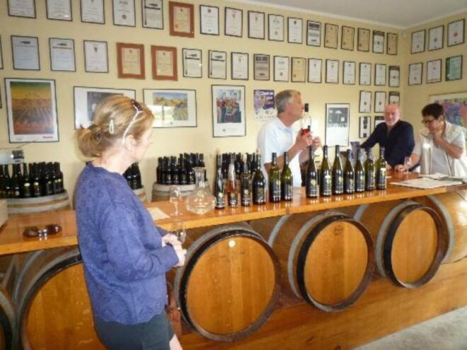 Napier: Wine With Gin or Craft Beer Tasting Tour - Similar Tour Options