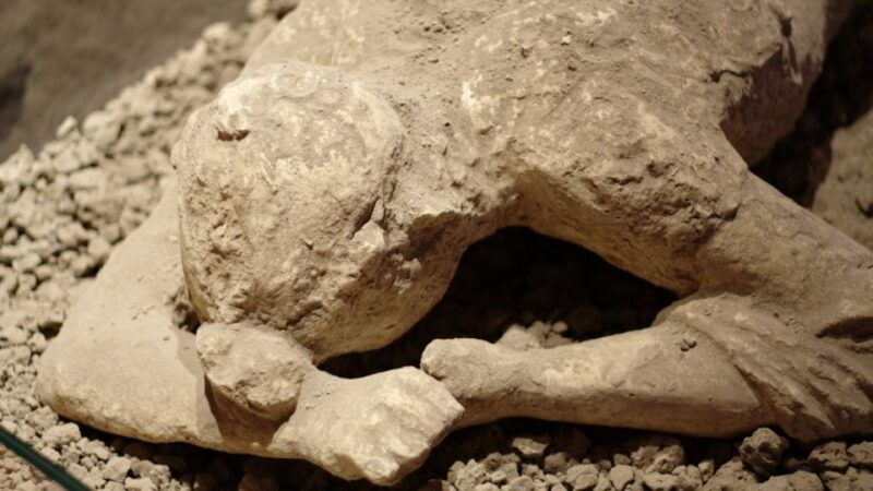 Naples: 7 Days Pass - Pompeii, Museums & Transport Included - User Experiences: What Travelers Are Saying