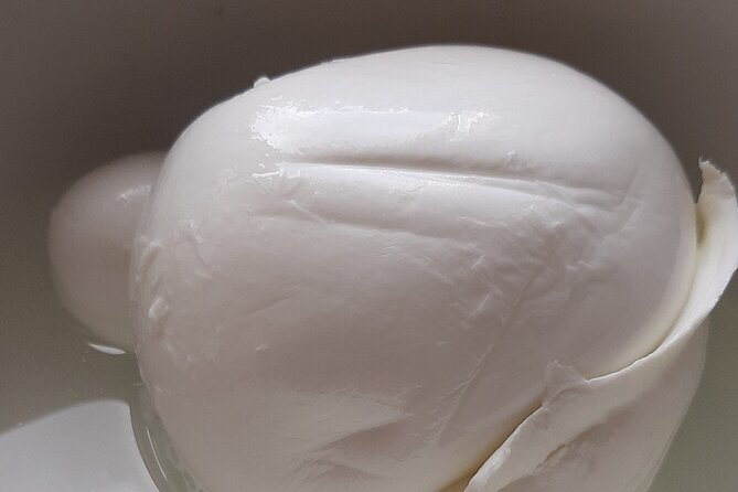 Naples as a Local - Authentic Street Food Tour - Customer Reviews