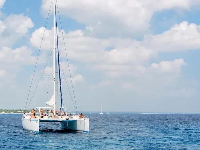 Naples: Catamaran Cruises with Wildlife Views - An In-Depth Look at the Catamaran Experience