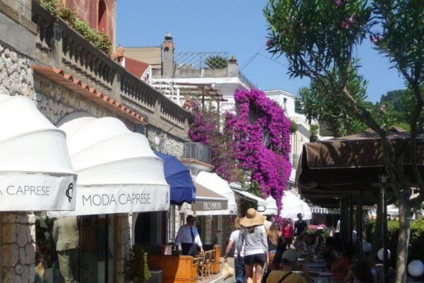 Naples: Day Trip to Pompeii and Capri - Common Questions