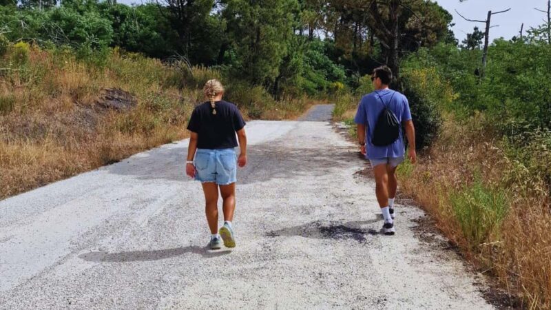 Naples: E-Bike Rental on Mount Vesuvius - Discovering Mount Vesuvius on Two Wheels