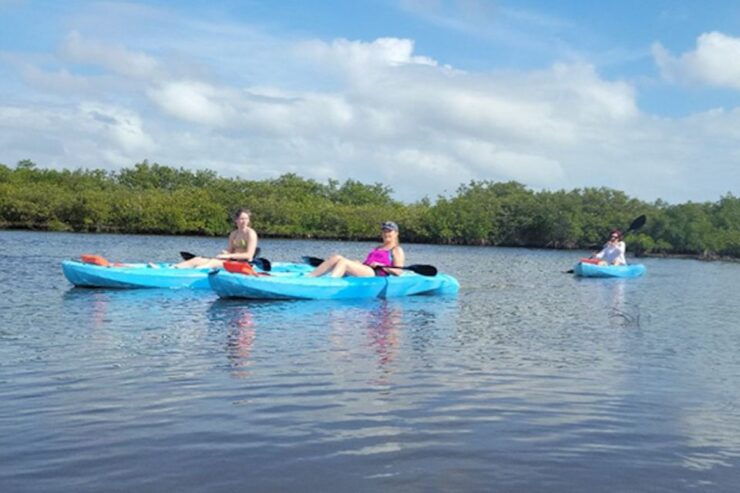 Naples, FL: Guided Standup Paddleboard or Kayak Tour - Activity Details