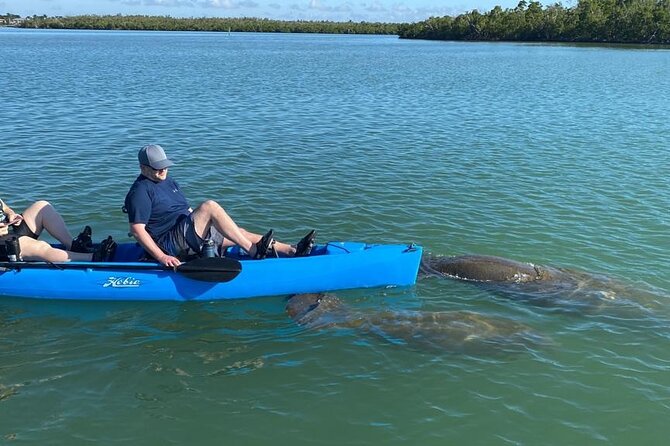Naples, FL Hobie Kayak With Pedals in Mangrove Tunnels - Inclusions