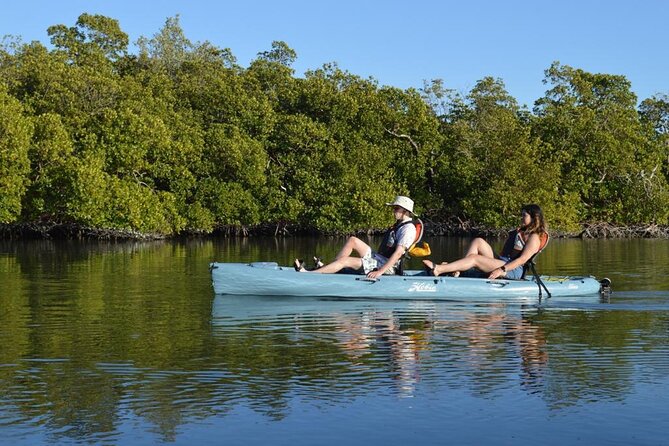 Naples, FL Hobie Kayak With Pedals in Mangrove Tunnels - Meeting and Pickup
