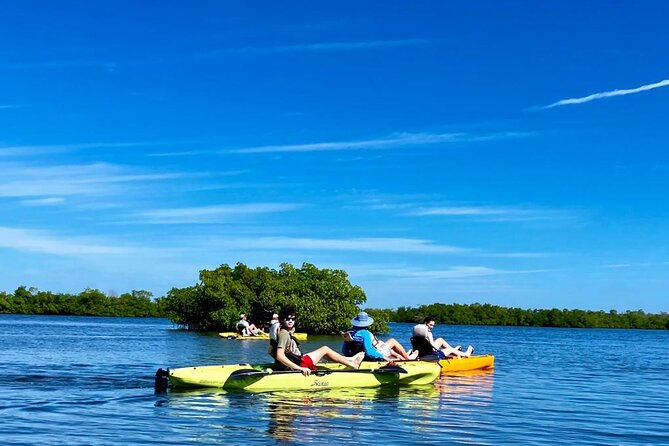 Naples, FL Hobie Kayak With Pedals in Mangrove Tunnels - Expectations and Requirements