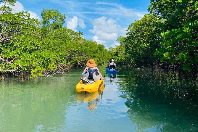 Naples, FL Hobie Kayak With Pedals in Mangrove Tunnels - Cancellation Policy